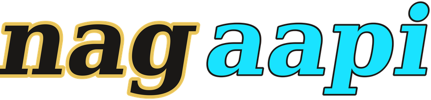 nagaapi logo
